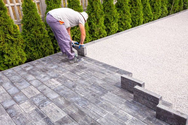 Best Local Driveway Pavers  in Pinehurst, MA